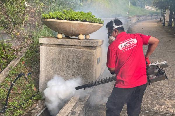 Mosquito Treatment