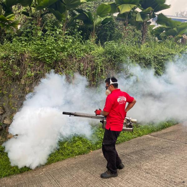 Mosquito Treatment