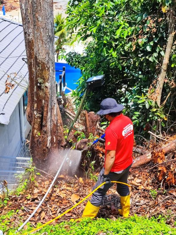 Termite Treatment